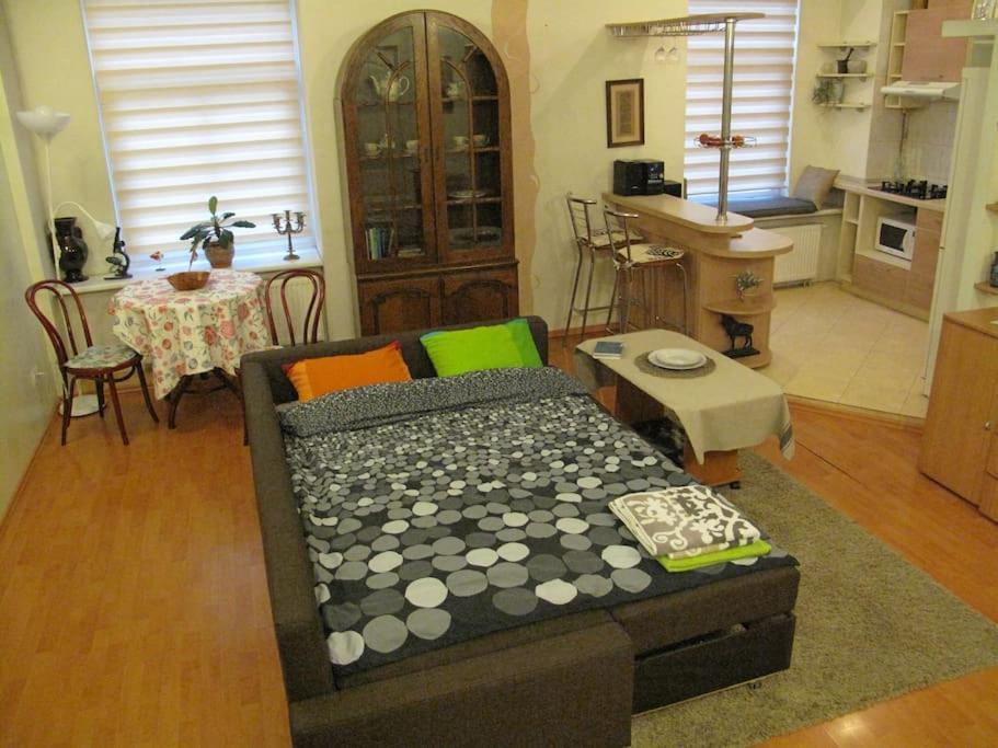 Private Entrance-2 Rooms-Old Town- Free Parking VNO Exterior foto